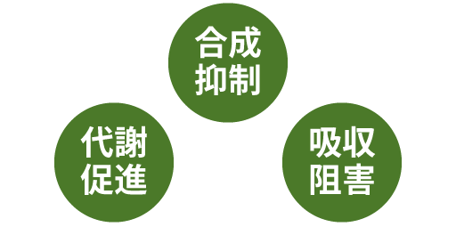 良質な大豆たんぱく質「βコングリシニン」の働き