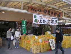 直売所併設工房 直売所豆腐店舗