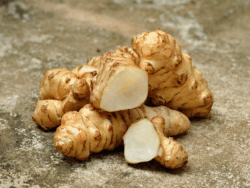 菊芋 超微粉砕装置粉砕機の用途:菊芋