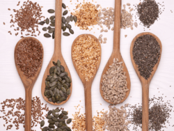 種子 空気輸送機用途:種子